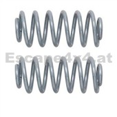 Hintere Federn Rubicon Express Jeep Grand Cherokee ZJ +3,5"